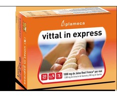 Plameca Vittal In Express
