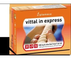 Plameca Vittal In Express