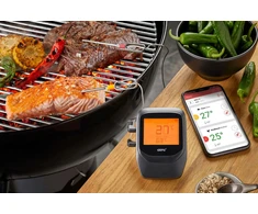 GEFU CONTROL Bluetooth termometras, 6 kanalai