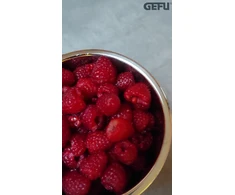 Sito kuchenne GEFU Fleissiges Lieschen Nerūdijantis plienas