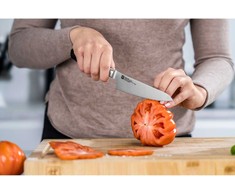 ZWILLING ALL * STAR kompaktiškas virėjo peilis 14 cm, sidabrinis