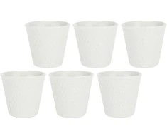 LA PORCELLANA BIANCA APEREGINA Rinkinys 6 puodeliai 75 ml