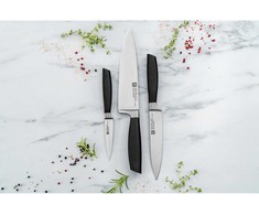 Zwilling All * Star daržovių ir vaisių peilis - 10 cm, Sidabrinė