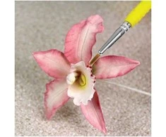 PME konditerijos dažymo teptukai (1-2 mm)