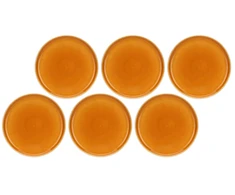 ROSE&amp;TULIPANI ARPEGGIO 6 pietų lėkščių rinkinys 25 cm, oranžinės spalvos