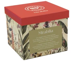 ROSE&amp;TULIPANI MIRABILIA arbatėlė „Tea4One“ su lėkštute, 300 ml, raudona