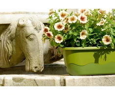 URBALIVE MARETA Stačiakampis savaime drėkinamasis vazonas 60 x 20 cm, žalia