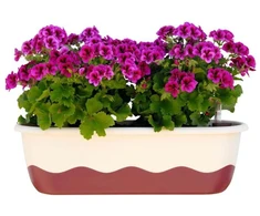 URBALIVE MARETA Donica samonawadniająca prostokątna 60 x 20 cm, smėlio spalva
