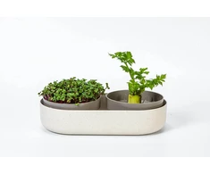 URBALIVE MICROGREENS Kiełkownica + indas su filtrem 30.5 x 16 cm, smėlio spalva