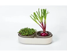 URBALIVE MICROGREENS Kiełkownica + indas 30.5 x 16 cm, smėlio spalva