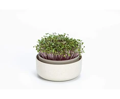 URBALIVE MICROGREENS Kiełkownica su filtrem 16 cm, smėlio spalva