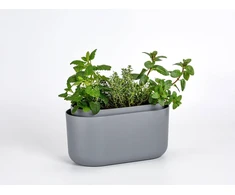 URBALIVE TOLITA Donica samonawadniająca prostokątna 31 x 16 cm, pilka