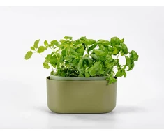 URBALIVE TOLITA Donica samonawadniająca prostokątna 31 x 16 cm, žalia