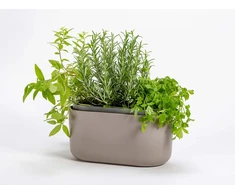 URBALIVE TOLITA Donica samonawadniająca prostokątna 31 x 16 cm, šviesiai pilkas
