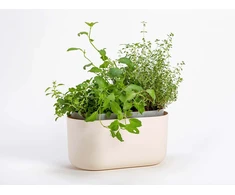 URBALIVE TOLITA Donica samonawadniająca prostokątna 31 x 16 cm, smėlio spalva
