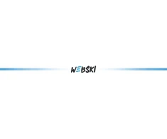 Belaidės ausinės Webski, baltos