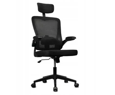 Juoda ergonominė biuro kėdė Ergo Lite LVNSystem