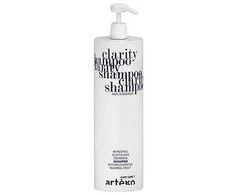Artègo Easy Care T Clarity Šampūnas šampūnas nuo pleiskanų, 1000 ml