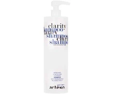 Artègo Easy Care T Clarity Šampūnas šampūnas nuo pleiskanų, 1000 ml