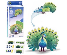 3D kartoninė dėlionė – spalvingas povas, 18 d.
