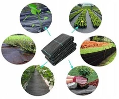 Agroplėvelė nuo piktžolių, 70 g/m², 1.6x50 m, juoda