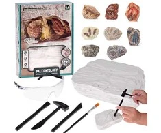 Archeologinis kasinėjimų rinkinys "Paleontology"