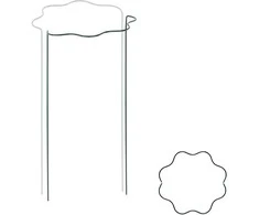 Augalų atrama Bradas, 1/2 lanko, 30 cm / 100 cm