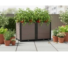 Augalų dėžė GROW BOX PLUS M, 82x41x45 cm