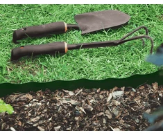 Banguotas vejos atitvaras Bradas 20 cm x 9 m, žalias