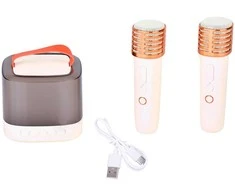 Belaidis garsiakalbis su 2 mikrofonais ir Bluetooth