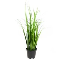 Dirbtinė dekoratyvinė žolė vazonėlyje, 50 cm