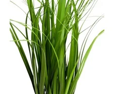 Dirbtinė dekoratyvinė žolė vazonėlyje, 50 cm