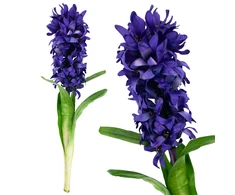 Dirbtinė hiacinto šaka, violetinė, 1 vnt.