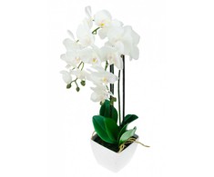Dirbtinė orchidėja su vazonu, 55cm