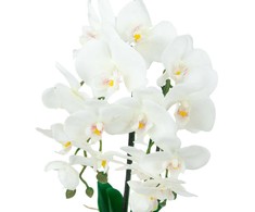Dirbtinė orchidėja su vazonu, 55cm