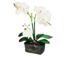 Dirbtinė orchidėja vazone, 1 vnt.