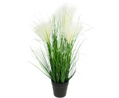 Dirbtinė pampų žolė vazonėlyje, 45 cm