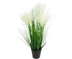 Dirbtinė pampų žolė vazonėlyje, 45 cm
