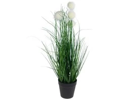 Dirbtinė pampų žolė vazonėlyje, 50 cm