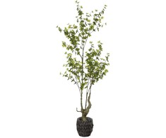 Dirbtinis augalas, 190 cm