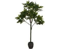 Dirbtinis augalas Figmedis, 160 cm