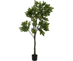 Dirbtinis augalas Figmedis, 180 cm