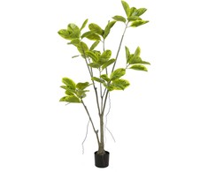Dirbtinis augalas Fikusas, 180 cm