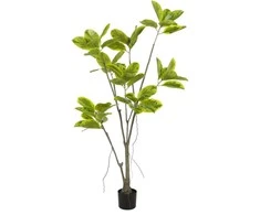 Dirbtinis augalas Fikusas, 180 cm