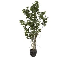 Dirbtinis augalas Fikusas, 190 cm