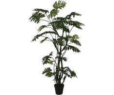 Dirbtinis augalas Filodendras, 210 cm