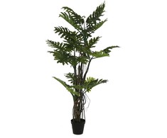 Dirbtinis augalas Filodendras Brasil, 210 cm