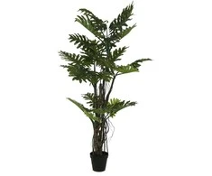 Dirbtinis augalas Filodendras Brasil, 210 cm