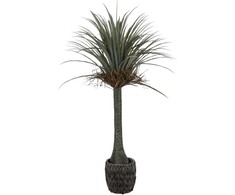 Dirbtinis augalas Juka, 160 cm
