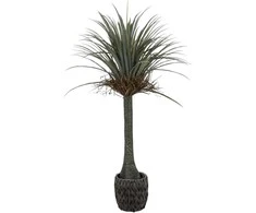 Dirbtinis augalas Juka, 160 cm